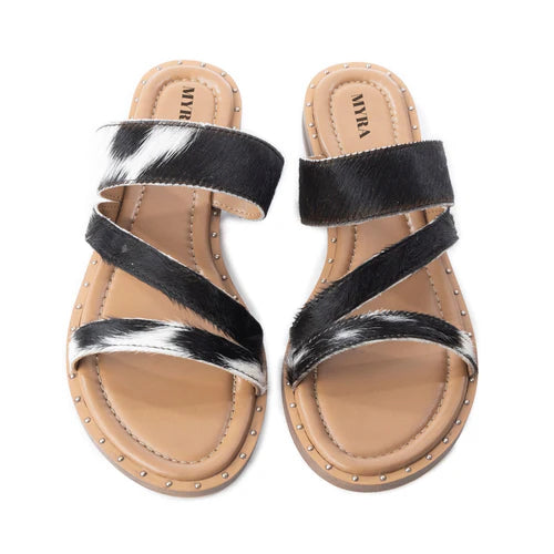 RANCH RIDGE SLIDES IN BLACK & WHITE